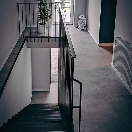 Trzy Male Drzewka * Wielka Wieś